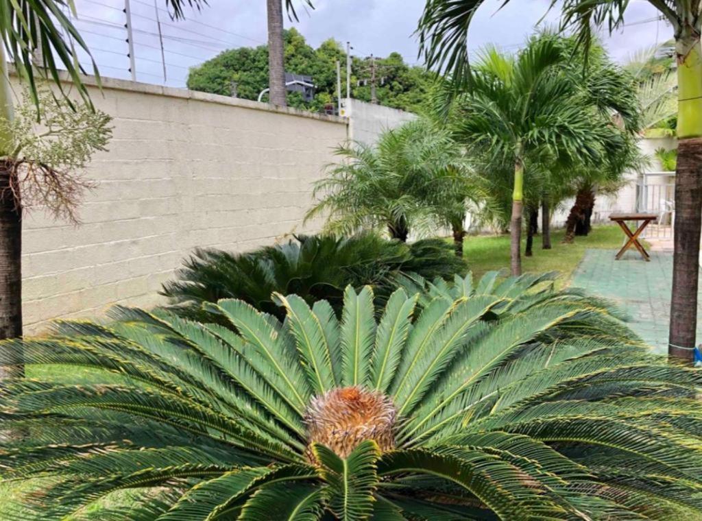 Apt2 Piscina Netflix Wifi Ar Cond Prox A 2 Shoppigns Fortaleza  Zewnętrze zdjęcie